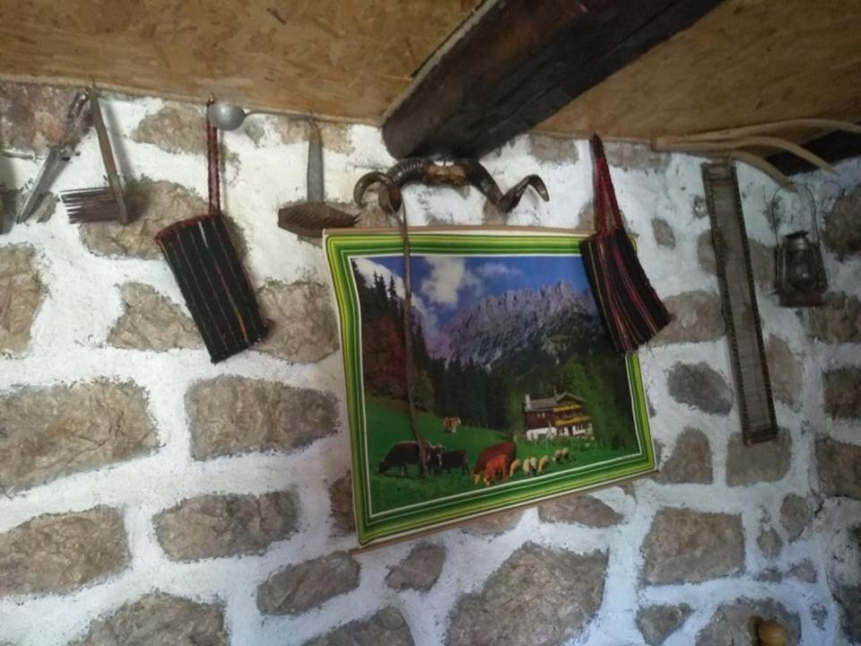 Apartament Kamena Kuca Žabljak Zewnętrze zdjęcie